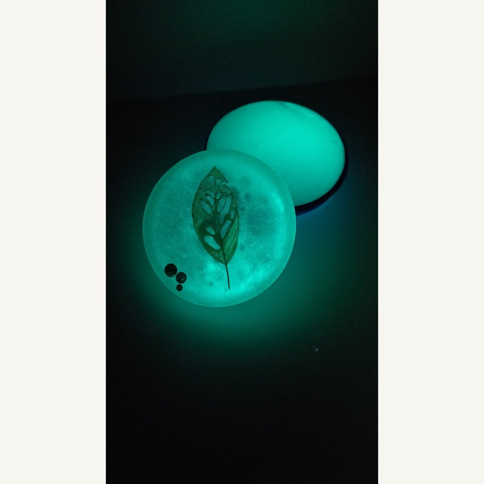 mlynek-motyw-botaniczny-luminescencyjny-2