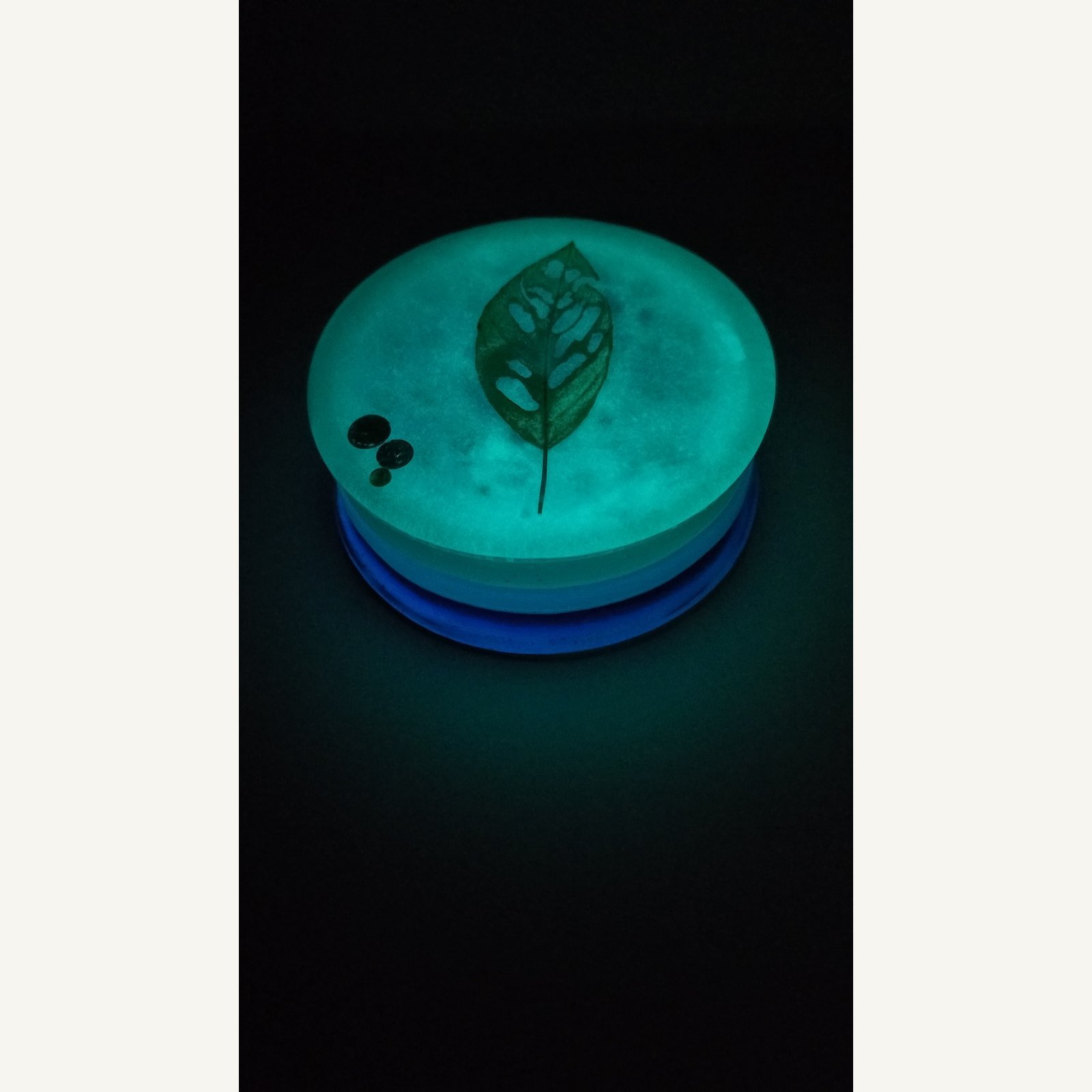mlynek-motyw-botaniczny-luminescencyjny-3